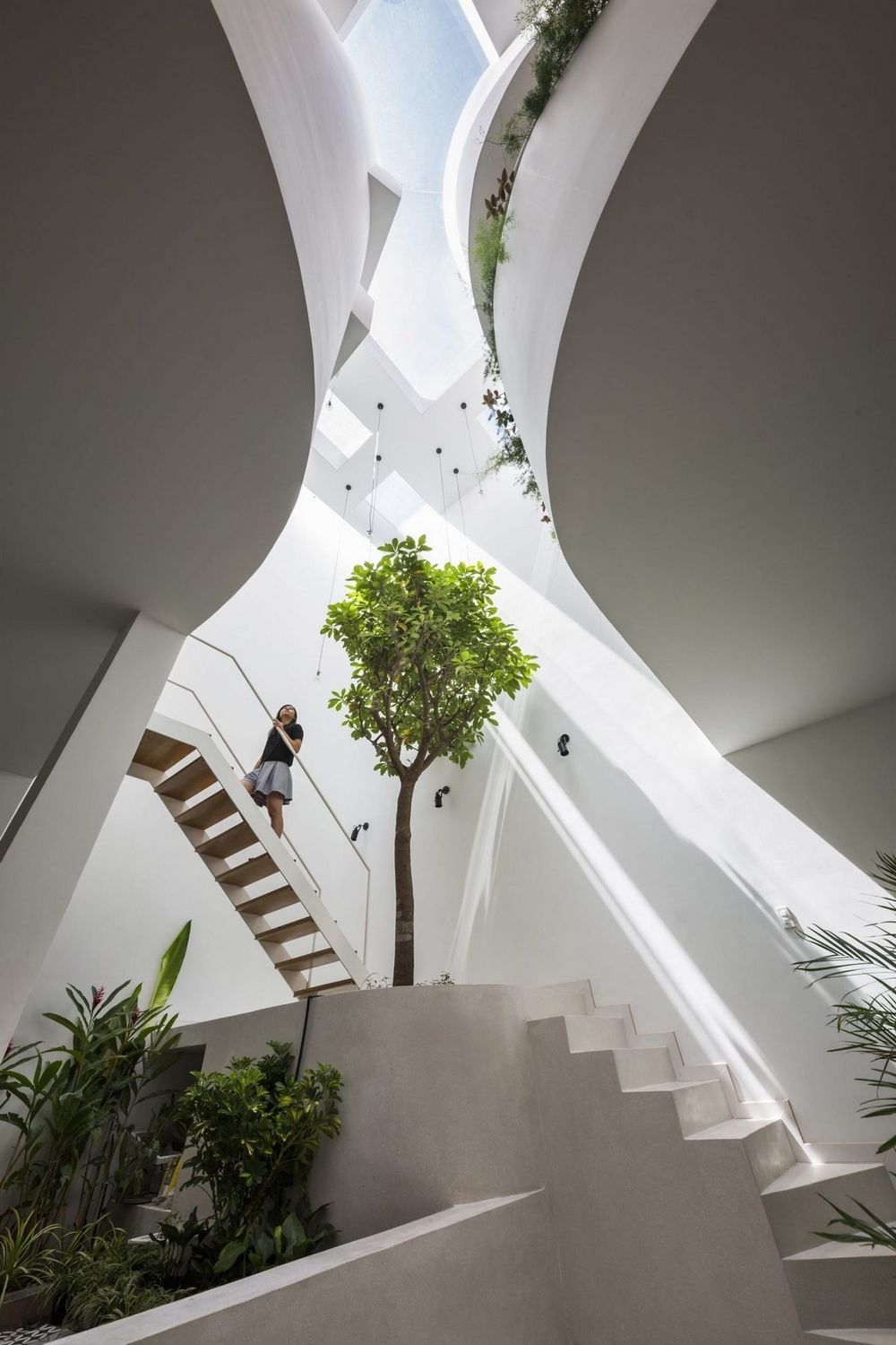 Kỹ thuật vệ sinh và bảo quản gỗ tự nhiên bền đẹp trong môi trường đảo